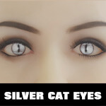 Zilveren kat